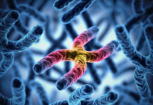 Is your life predetermined by your genes and DNA?