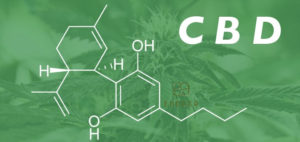 Do You Know These 33 Benefits of CBD OIl?